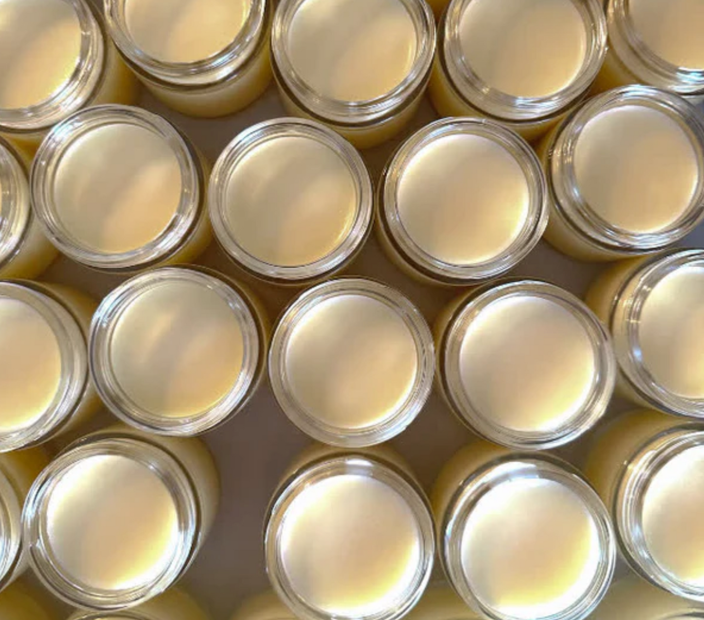 Tallow and Honey Balm