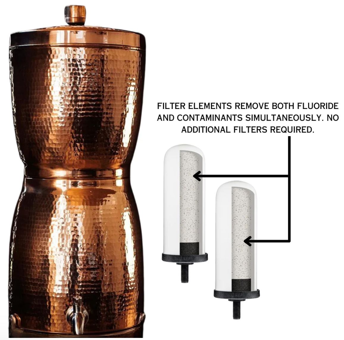 Sana Vida Fluoride Water Filtration System