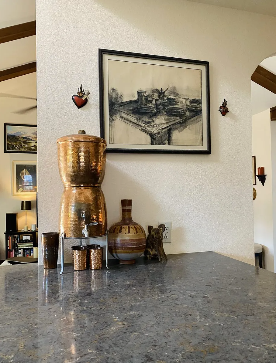 Sana Vida Fluoride Water Filtration System