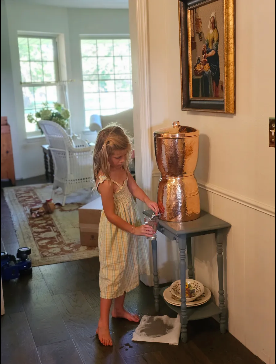Sana Vida Fluoride Water Filtration System